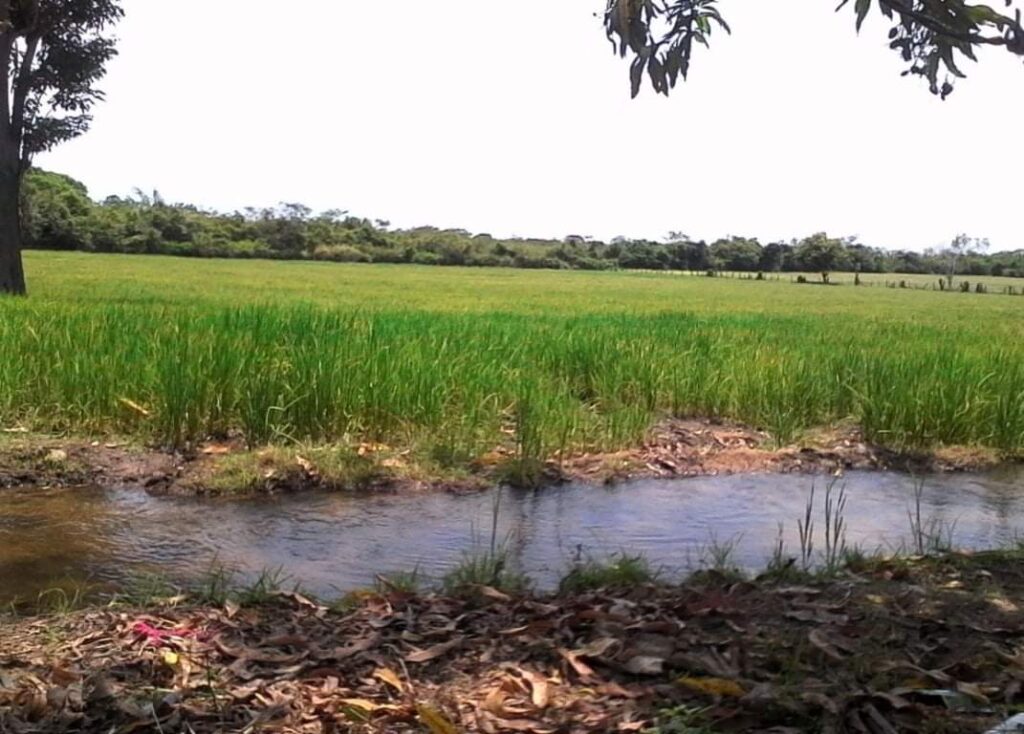 Evocando al rio Ranchería – Guajira Gráfica